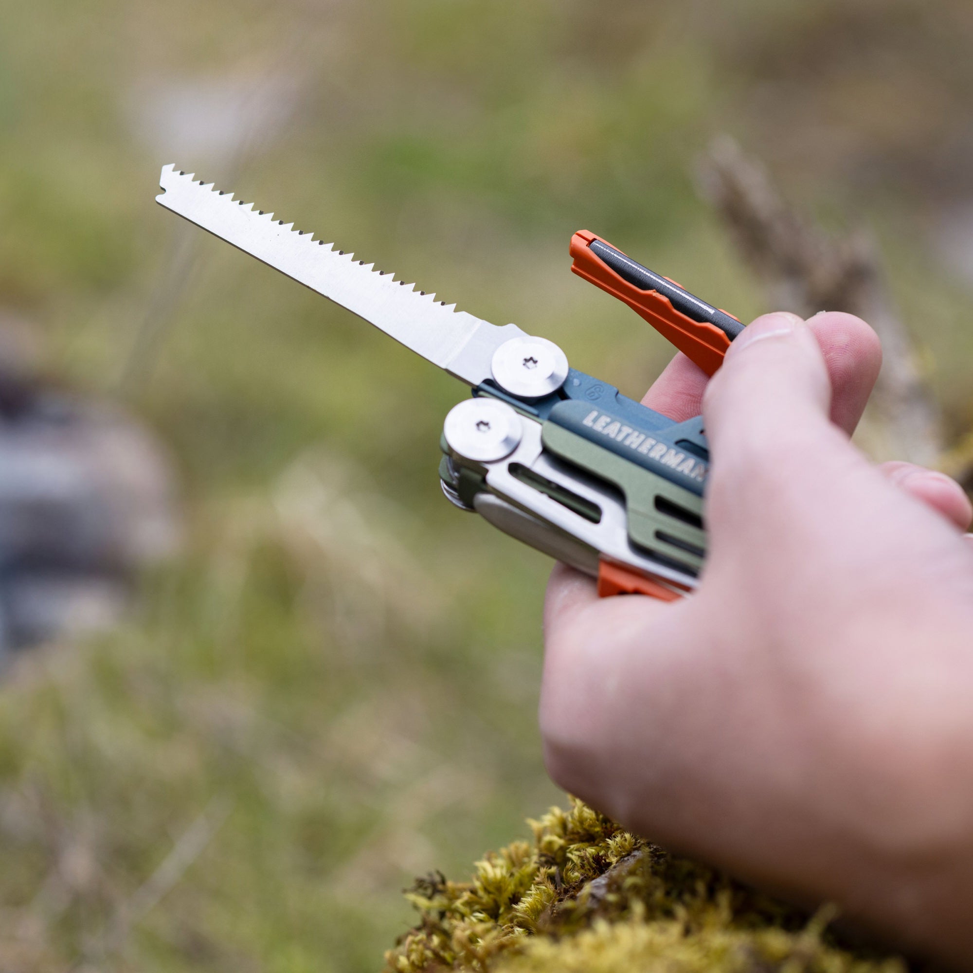 signal_20260402201811_22h7.jpg